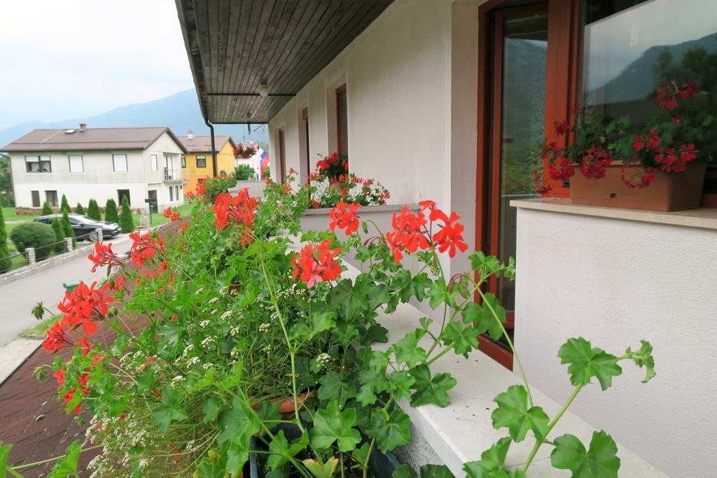 Budget Homestay Kobarid Eksteriør bilde